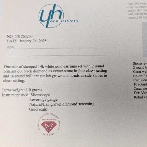 14K White Gold 1G Black Diamond + White Lab Dia 0.88+0.08Ct Earrings. scratched - Picture 3 of 4